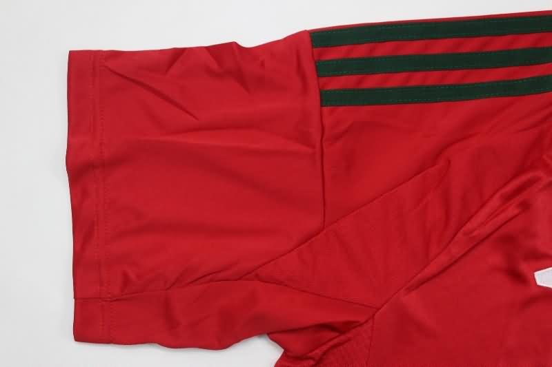 Wales Soccer Jersey Home Replica 2024