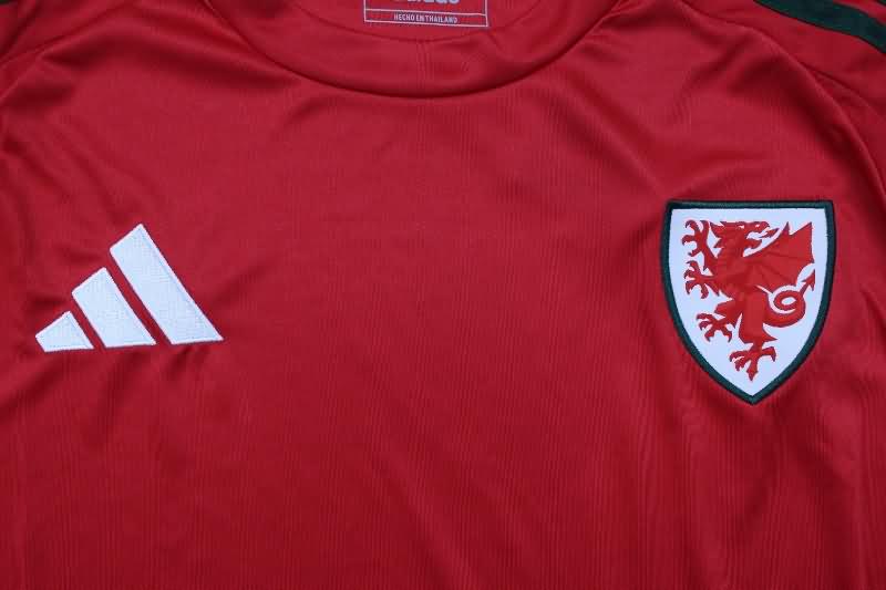 Wales Soccer Jersey Home Replica 2024