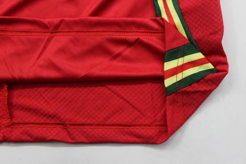 Wales Soccer Jersey Home Replica 2024