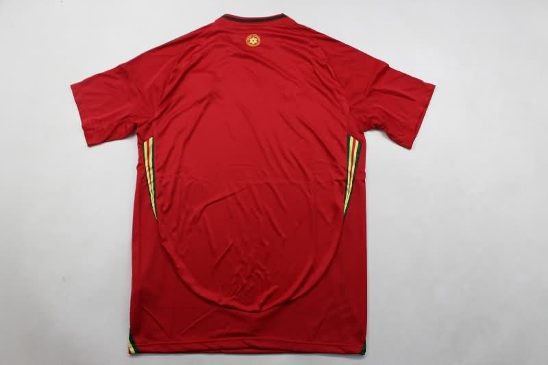 Wales Soccer Jersey Home Replica 2024