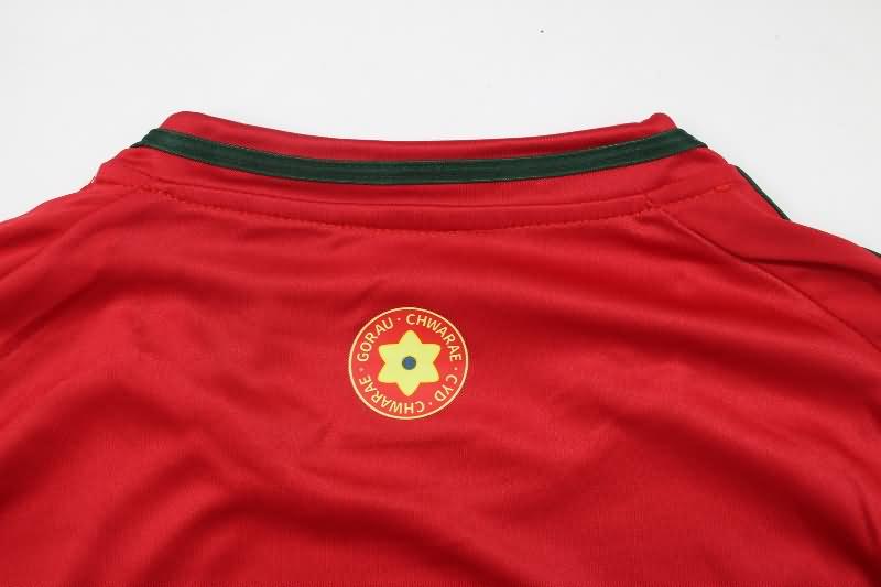 Wales Soccer Jersey Home Replica 2024