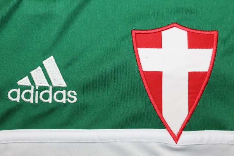 Palmeiras Soccer Jersey Third Retro Replica 2014