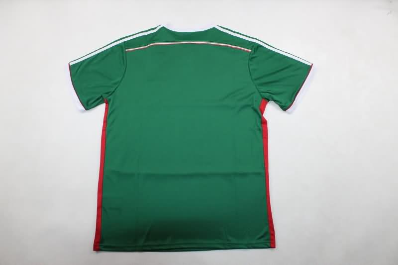 Palmeiras Soccer Jersey Third Retro Replica 2014